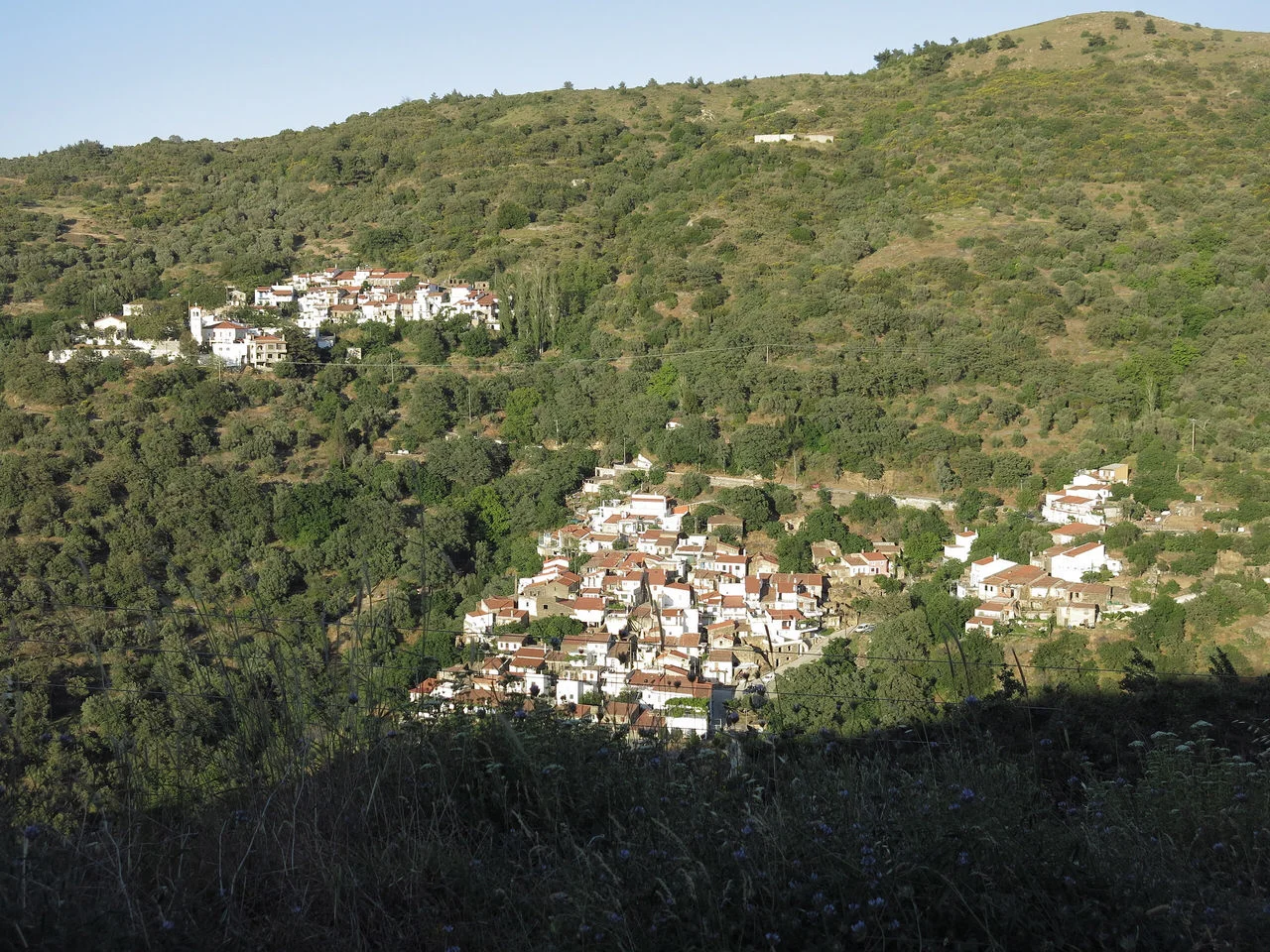 Κουρούνια