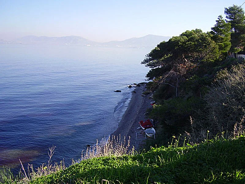Μπατσί Σαλαμίνας