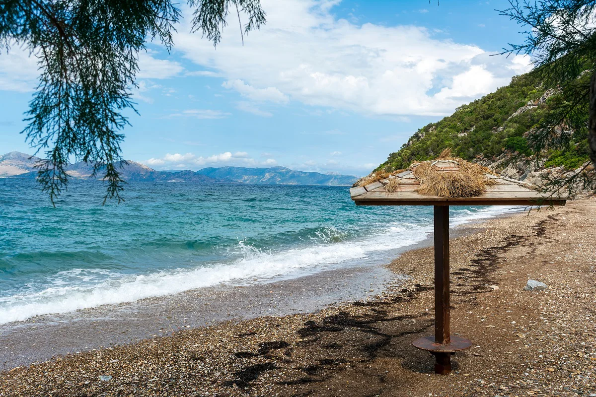 Σέσι