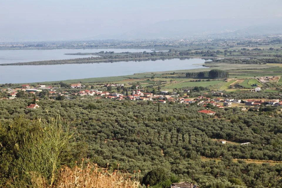 Ζευγαράκι Τριχωνίδας