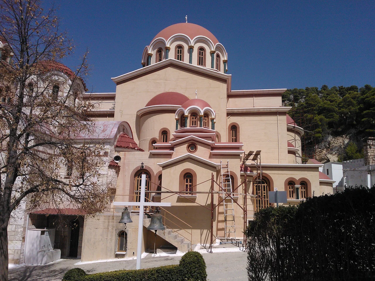 Φυλή