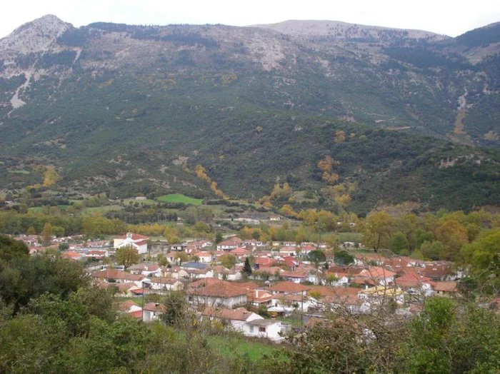 Θύαμος