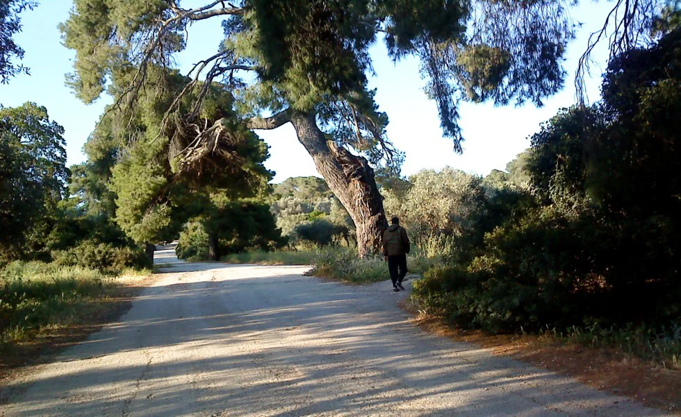 Ανάβρυτα (Μαρούσι)