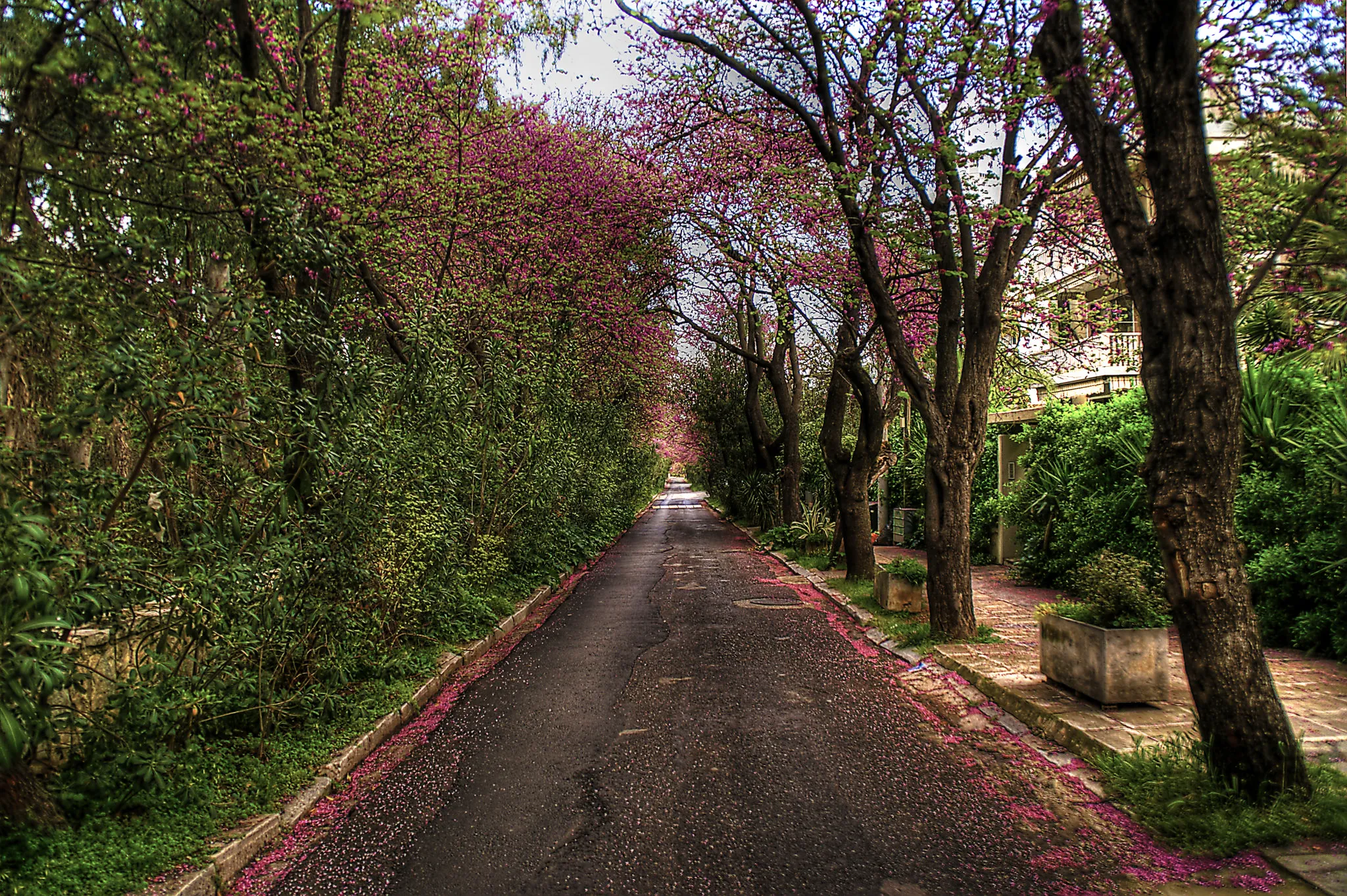 Άνω Ψυχικό (Ψυχικό)