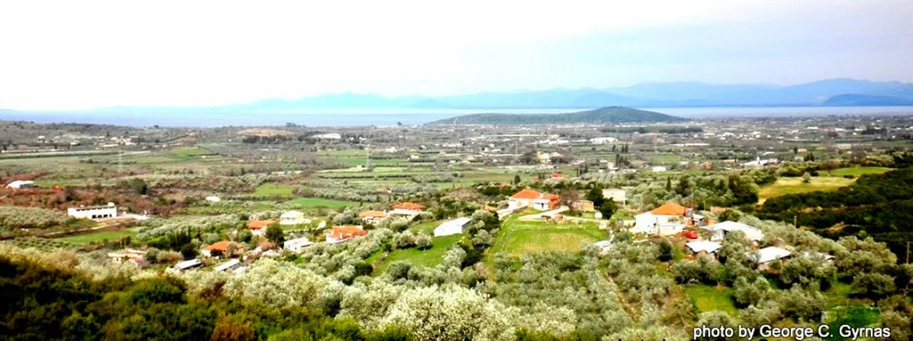 Κεραμίδι