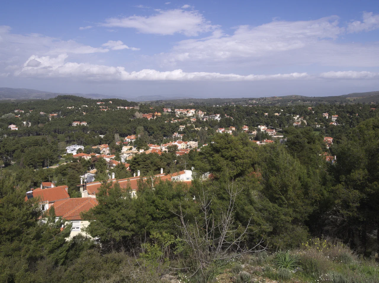 Εύξεινος Πόντος (Σταμάτα)