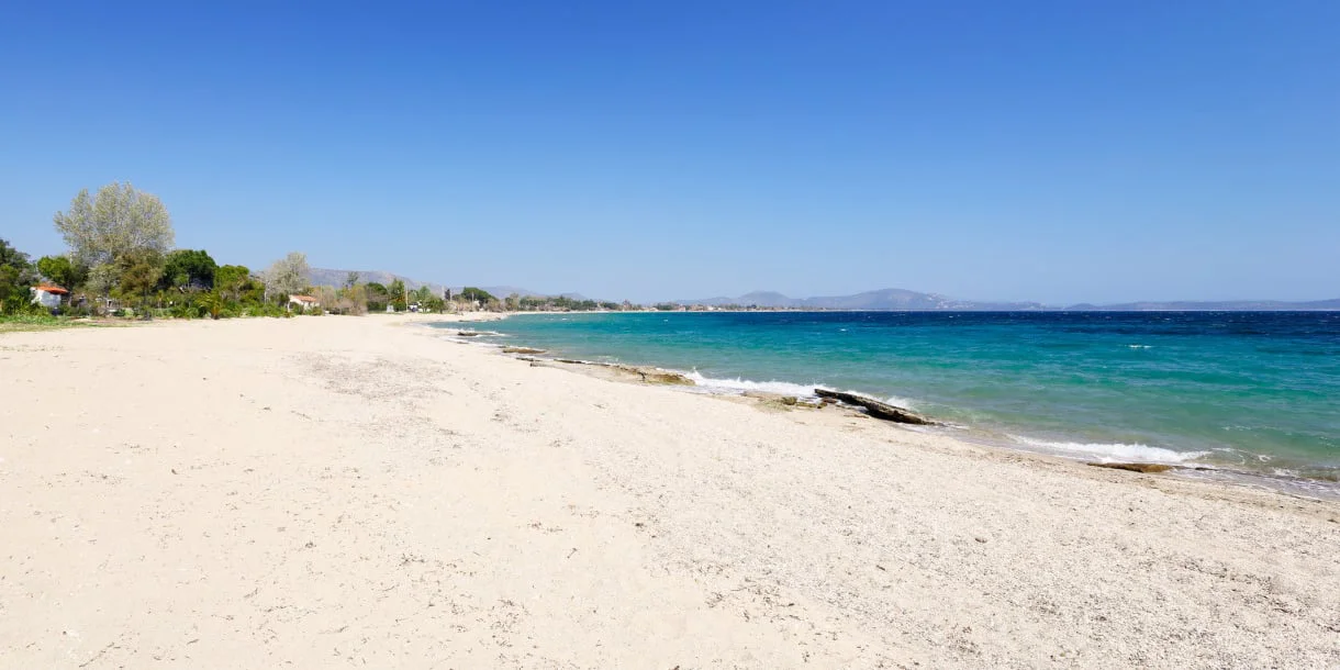 Ζούμπερη (Νέα Μάκρη)