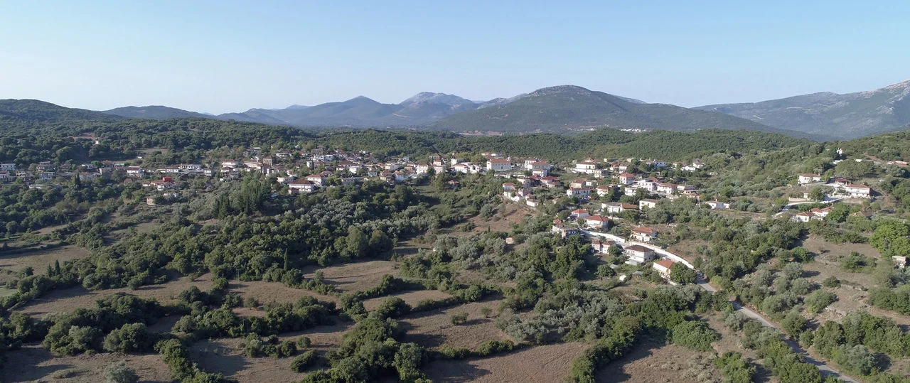 Κονοπίνα