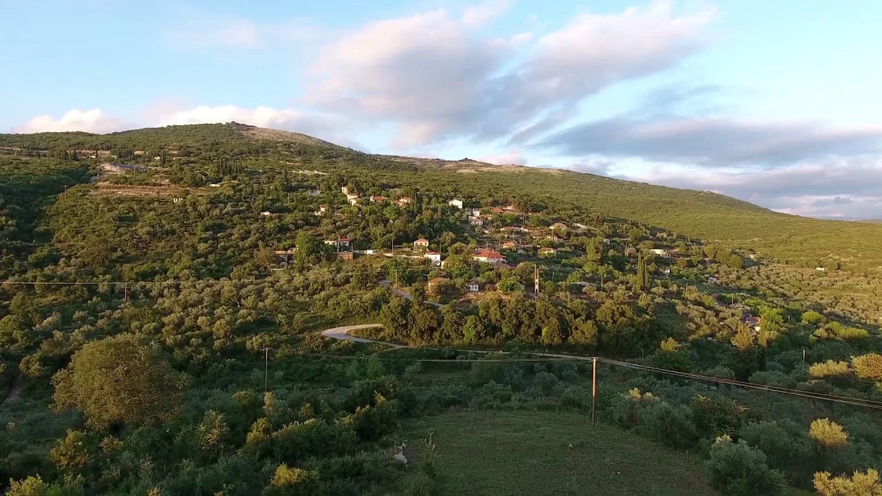 Λευκό