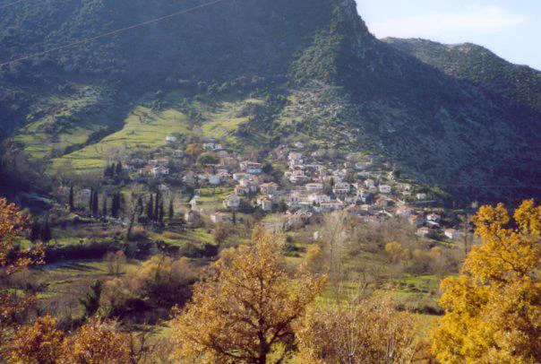 Αγρίδι Περιστέρας
