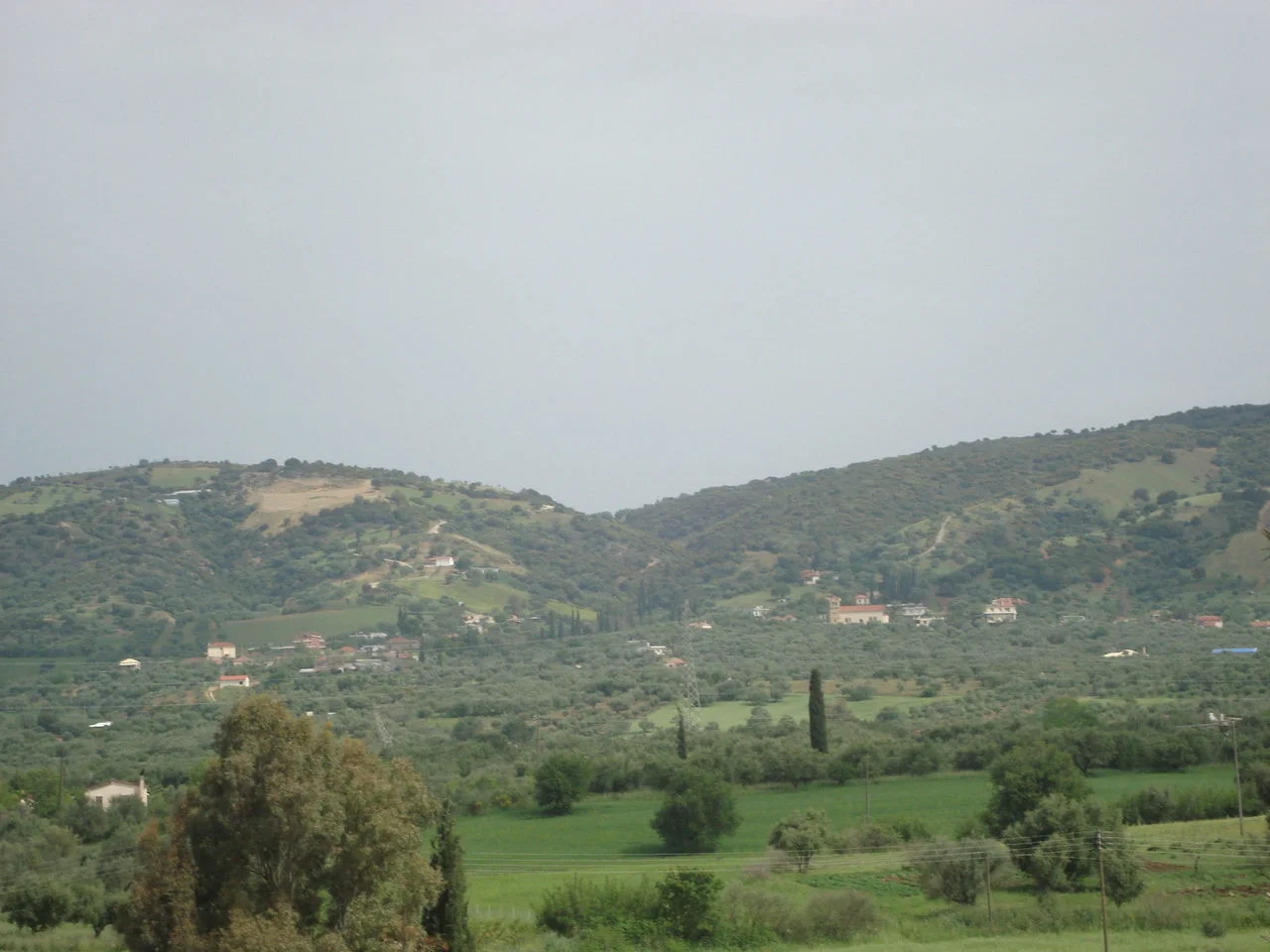 Αγριλιά