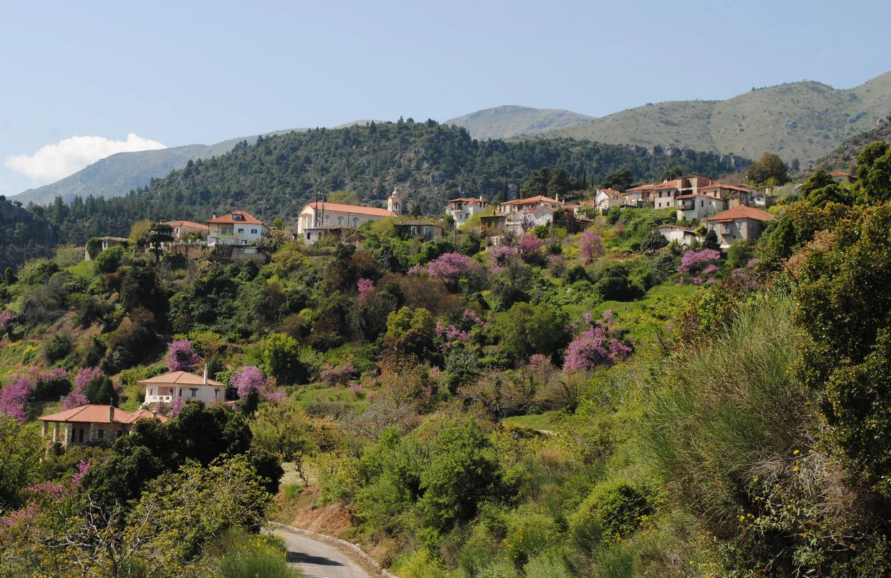 Αμπελόκηποι