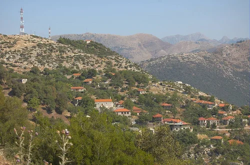 Άμπελος