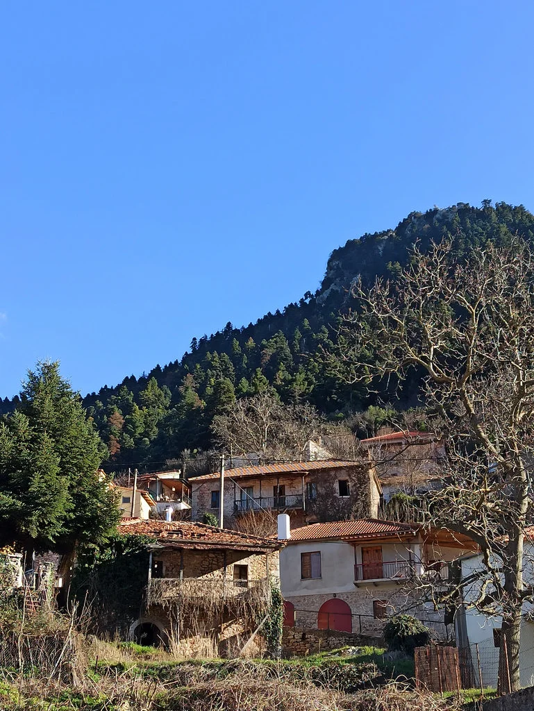 Άνω Βλασία