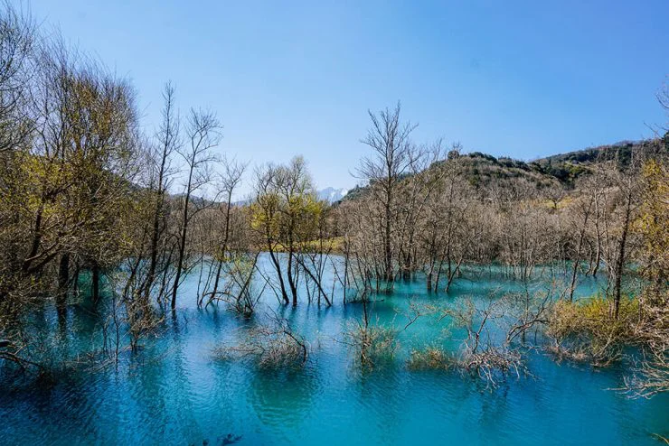Δροσάτο