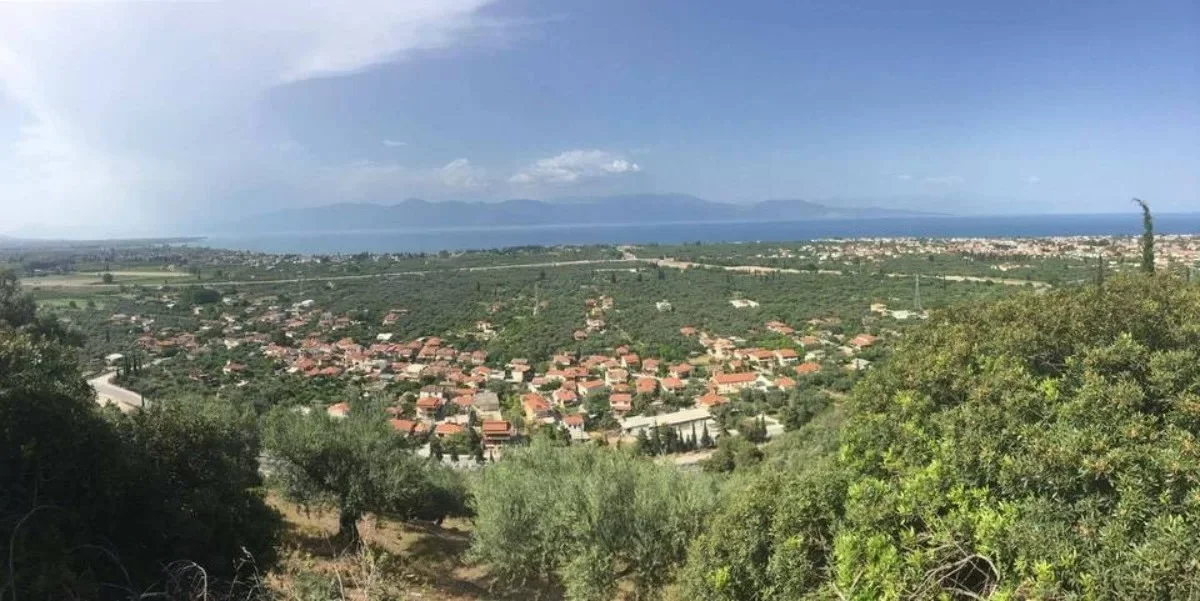 Ζαχλωρίτικα