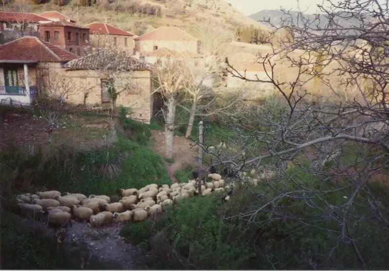 Κερπινή