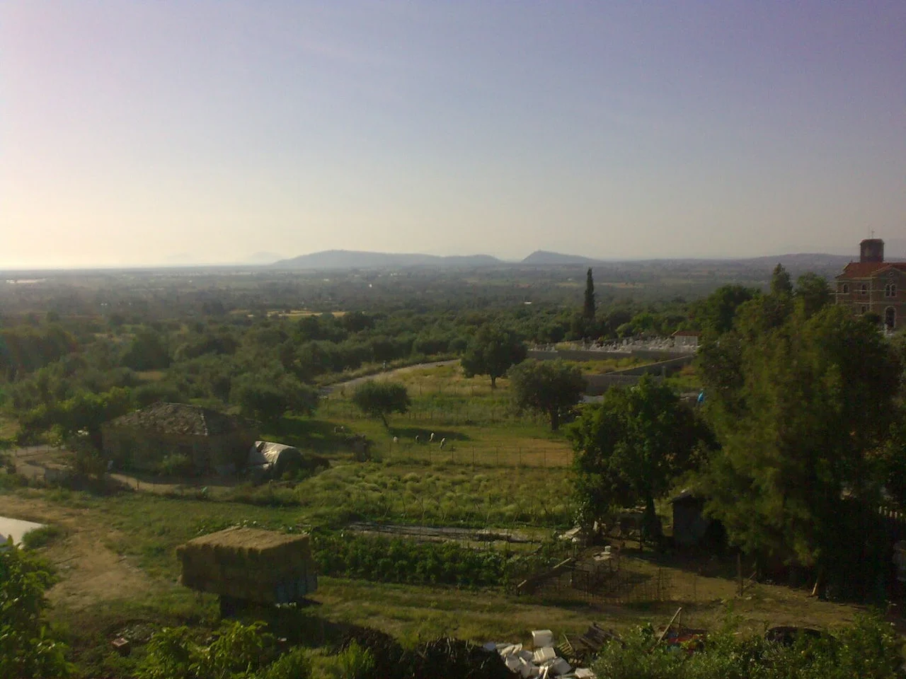 Κρίνος