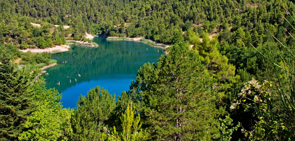 Όαση