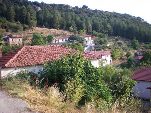 Παγκράτι