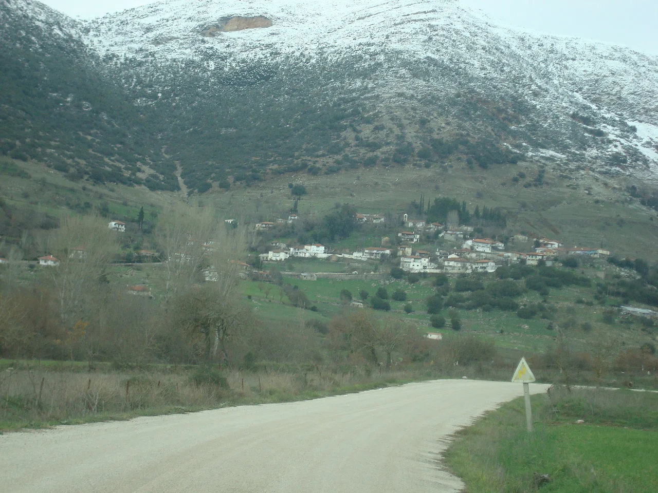 Πεύκο