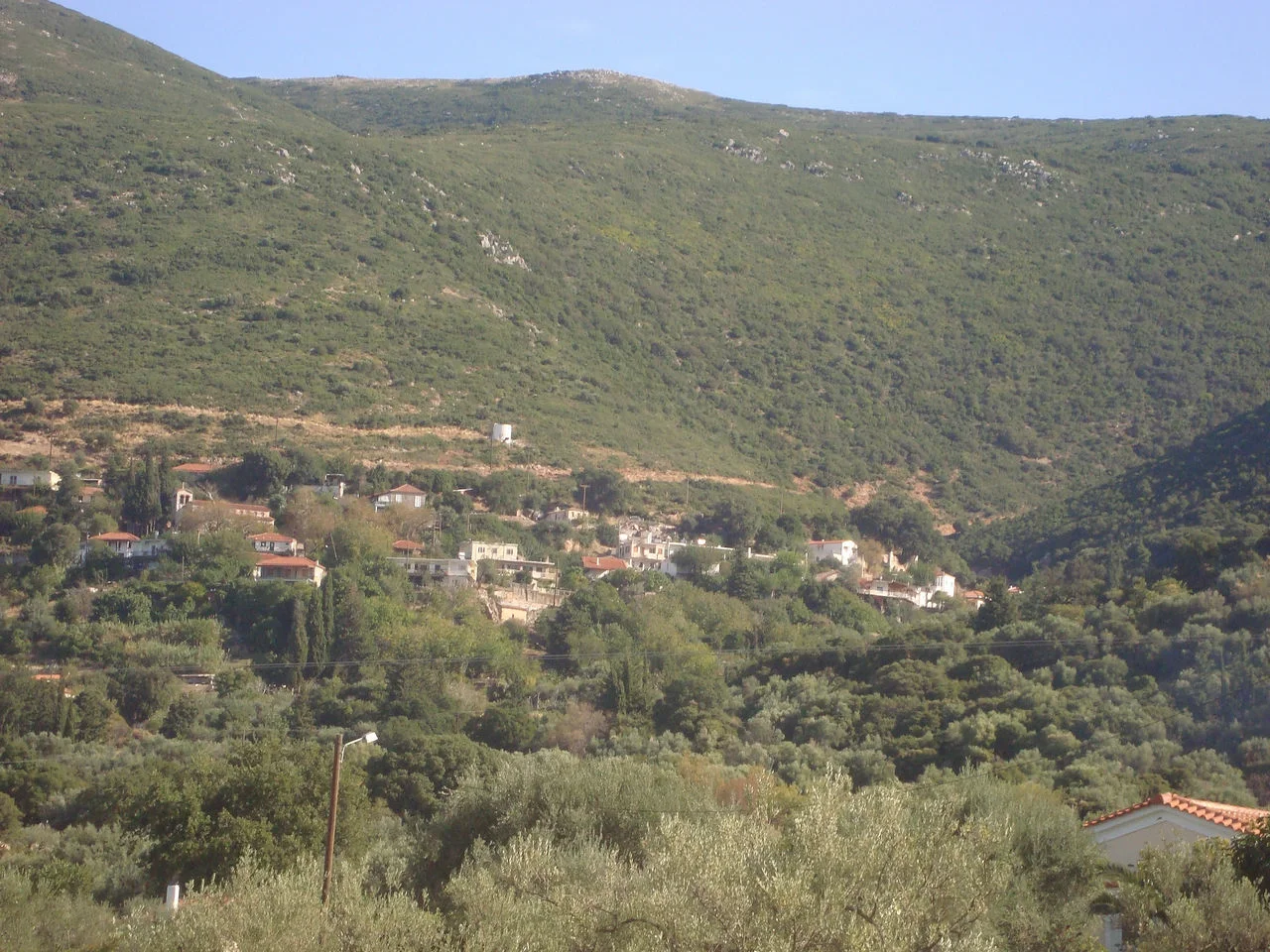Πλατανόβρυση