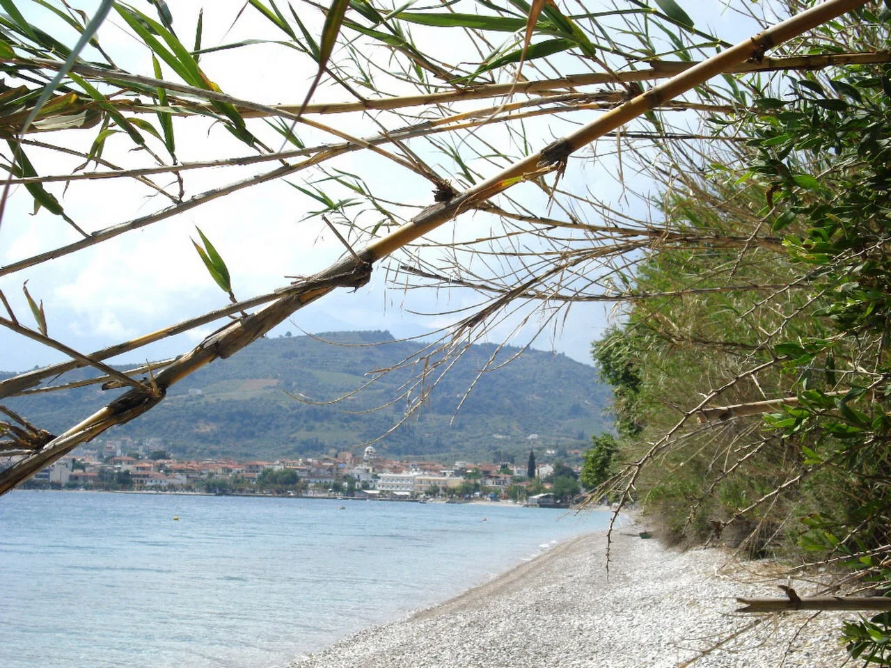 Σελιανίτικα