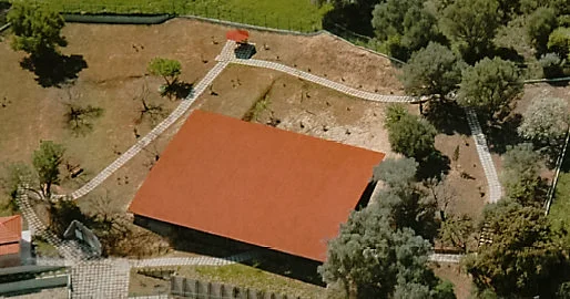 Σπαλιαραίικα