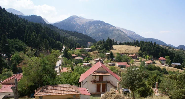 Τσαπουρνιά
