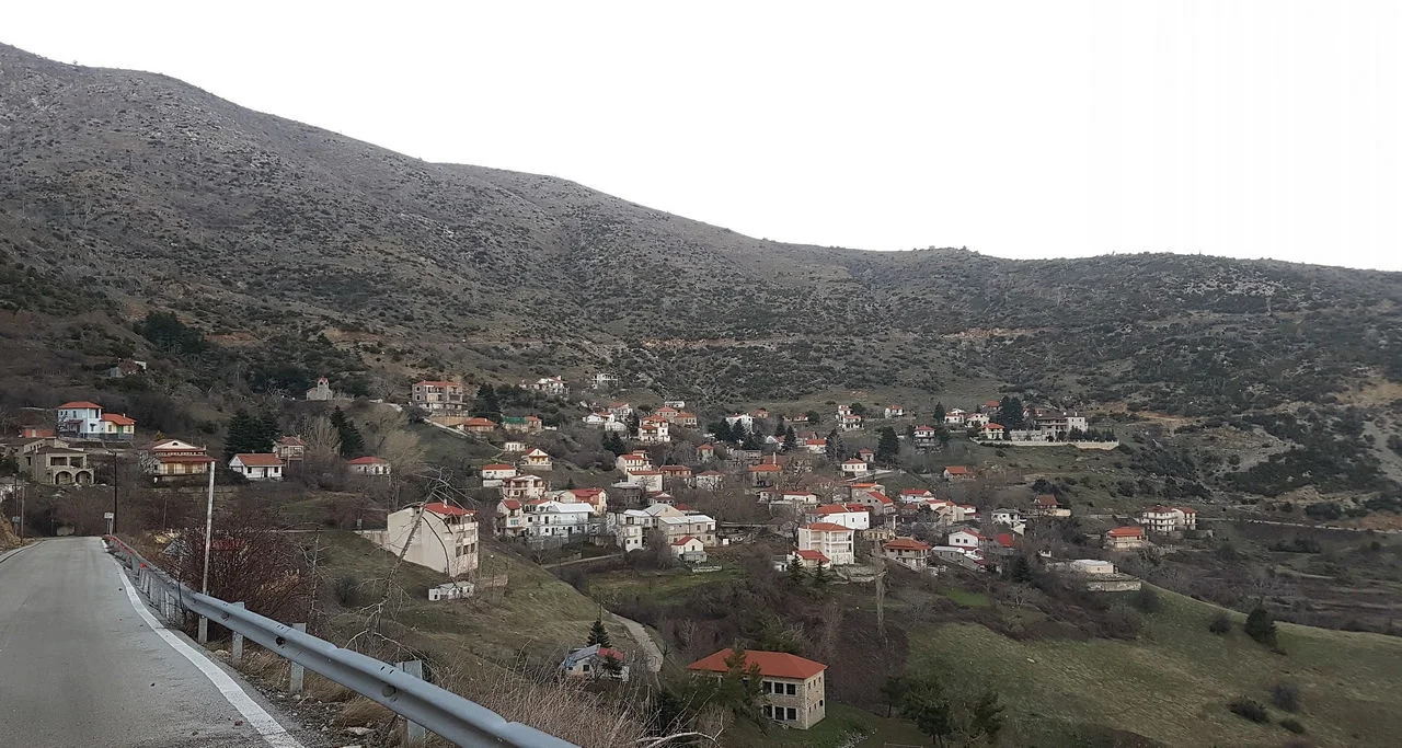 Φτέρη Αιγιαλείας