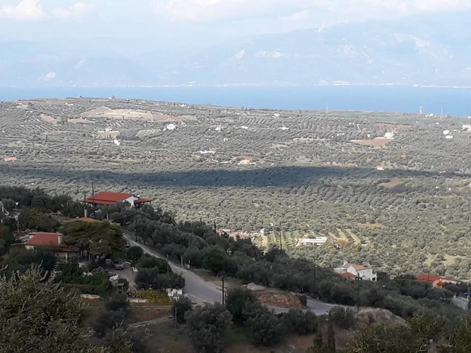 Φωνησκαριά