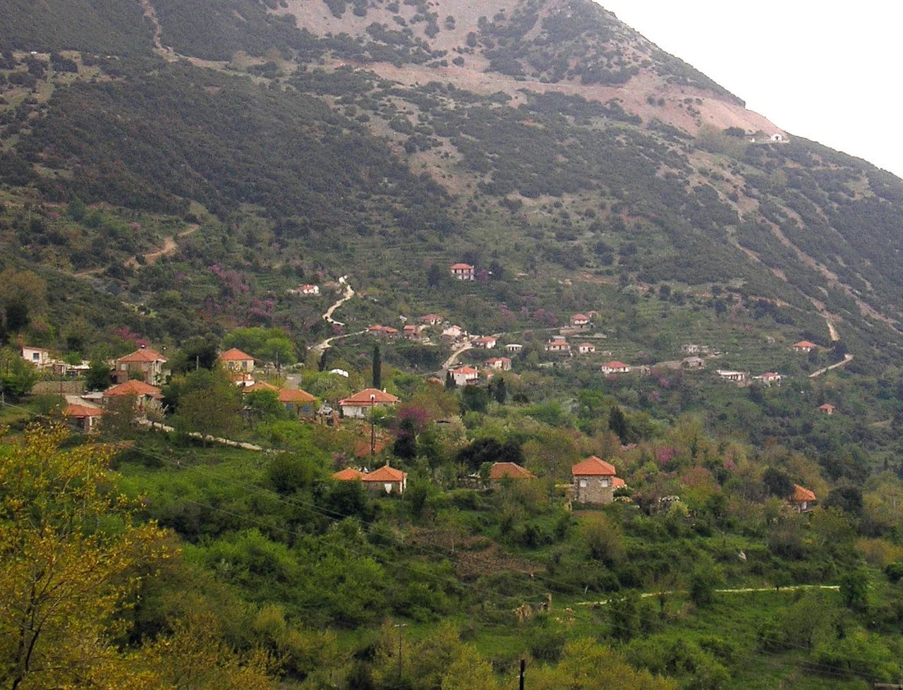 Παλαιοχωράκι
