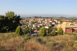 Παλιάμπελα Βάλτου