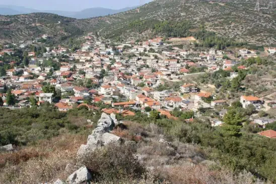 Ακραίφνιο