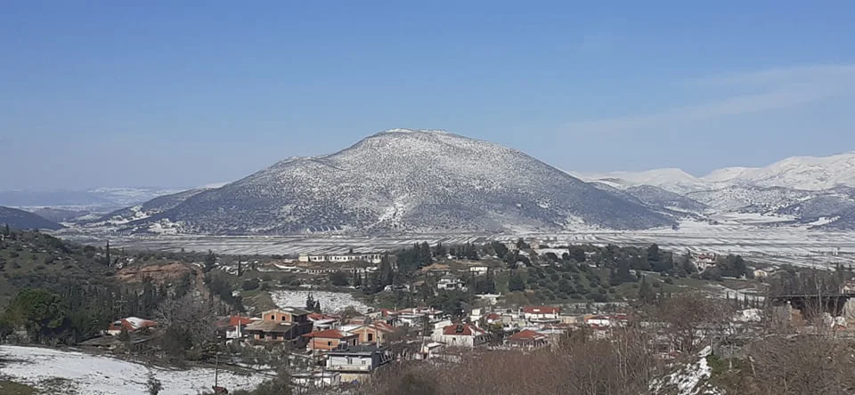 Βάγια