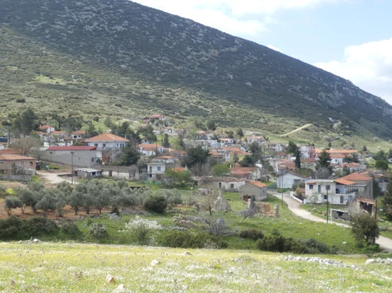 Δάφνη
