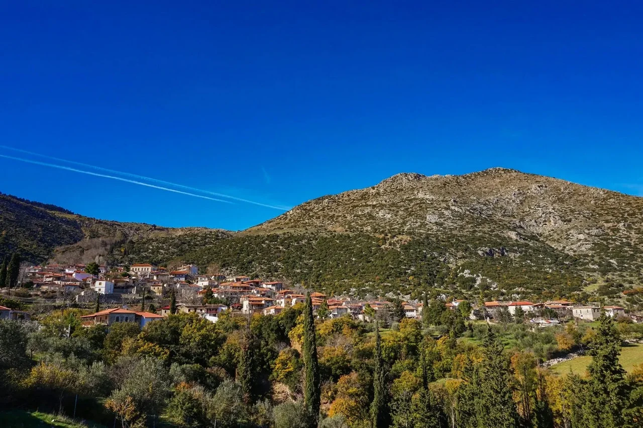 Καρυά
