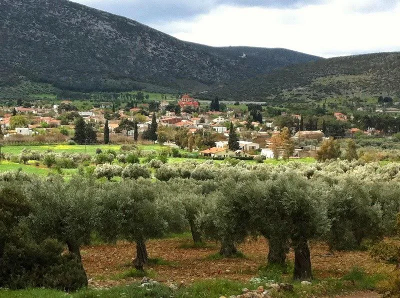 Ξηρονομή