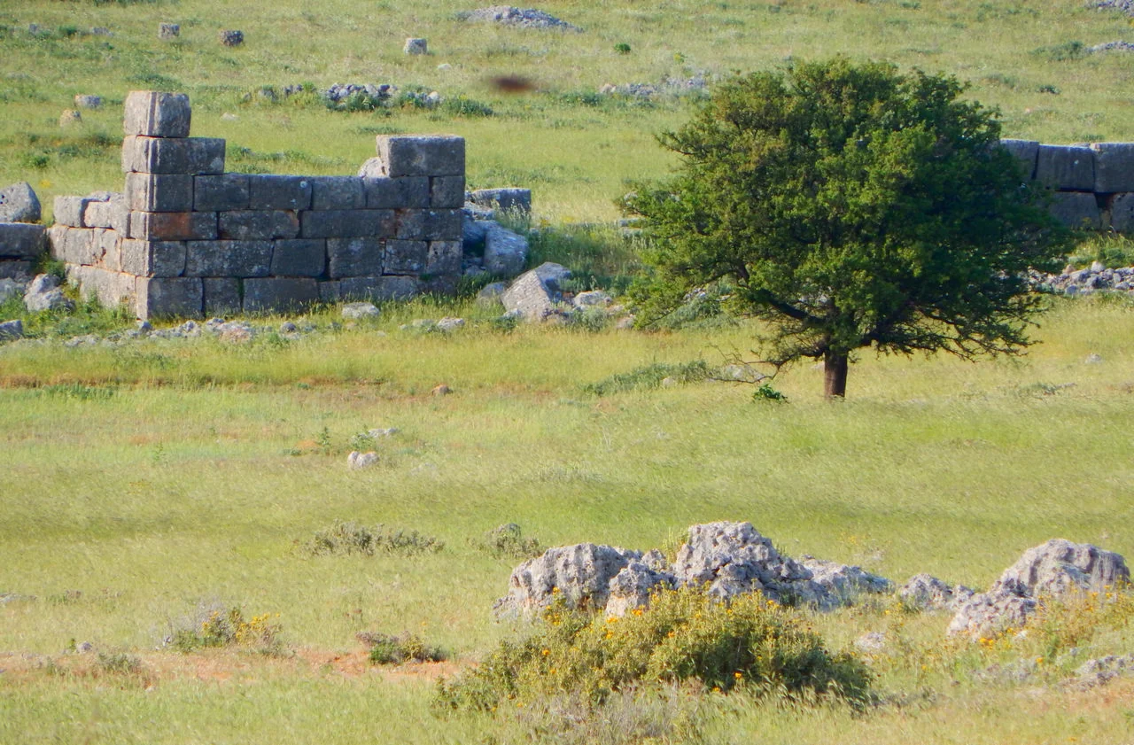 Πλαταιές