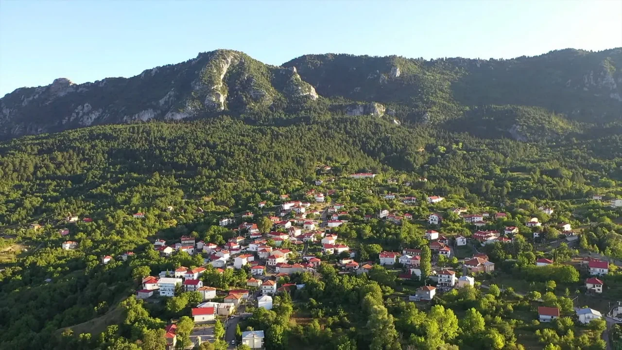 Ζάκας