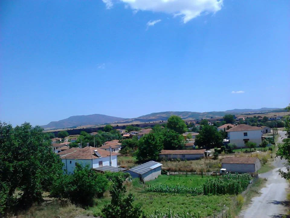 Ιτέα