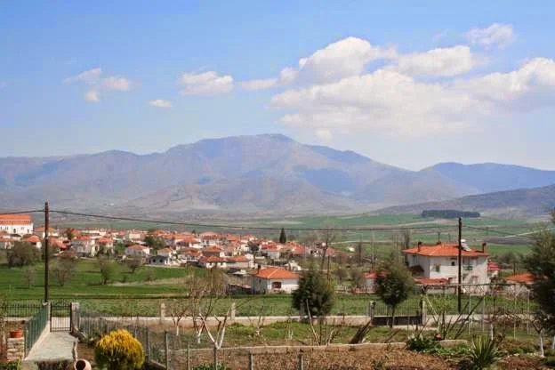 Κνίδη
