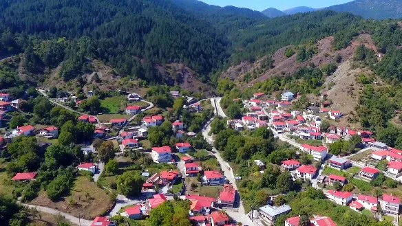 Κρανιά