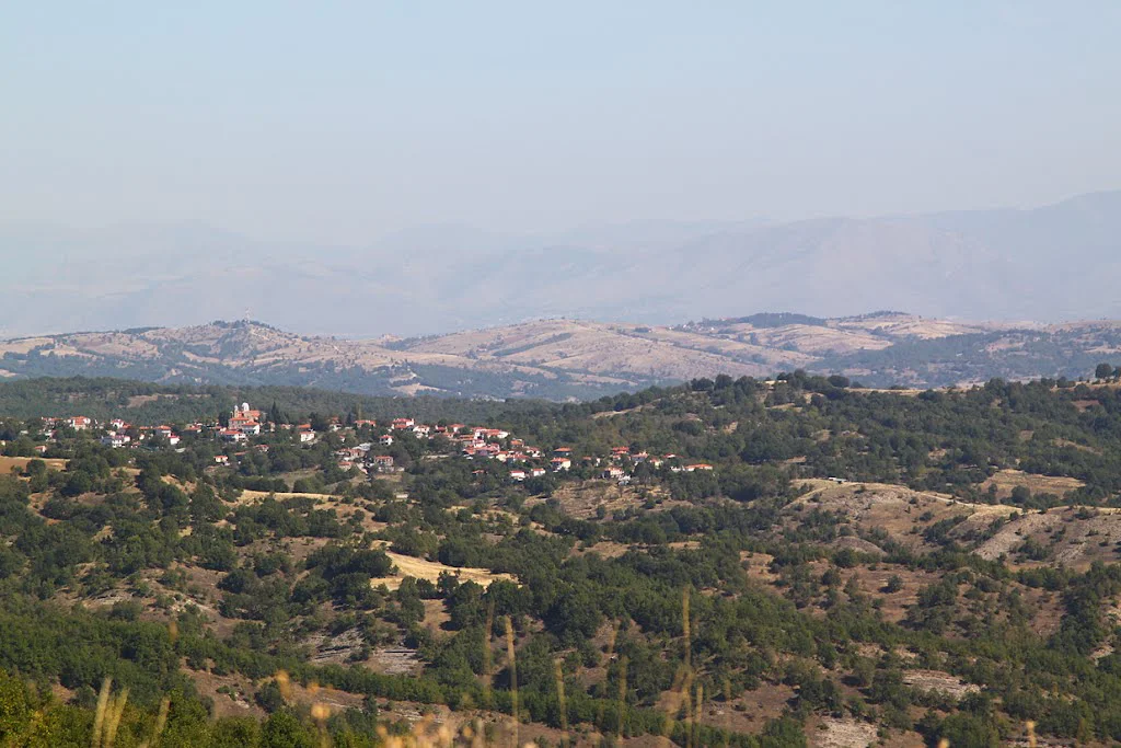 Κυδωνιές