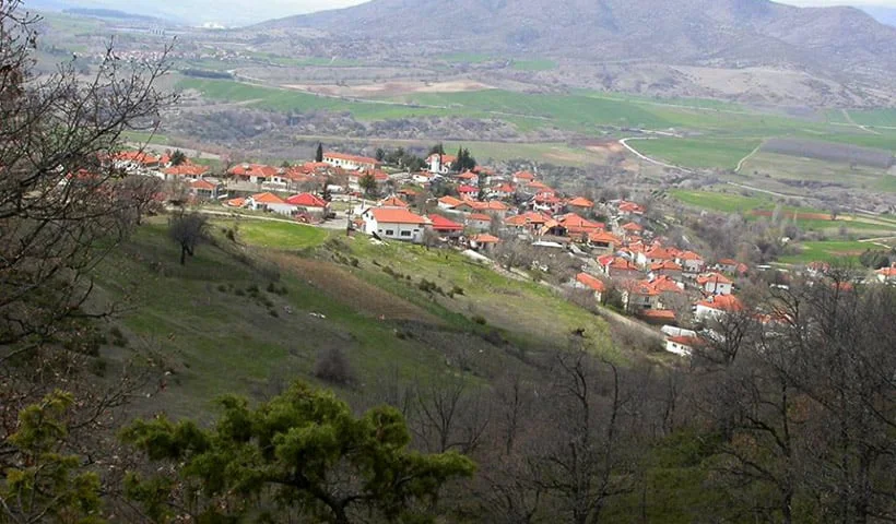 Ποντινή