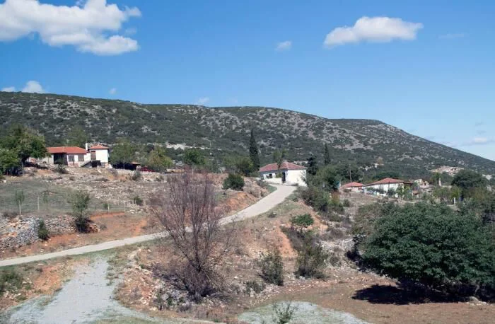 Αίγειρος