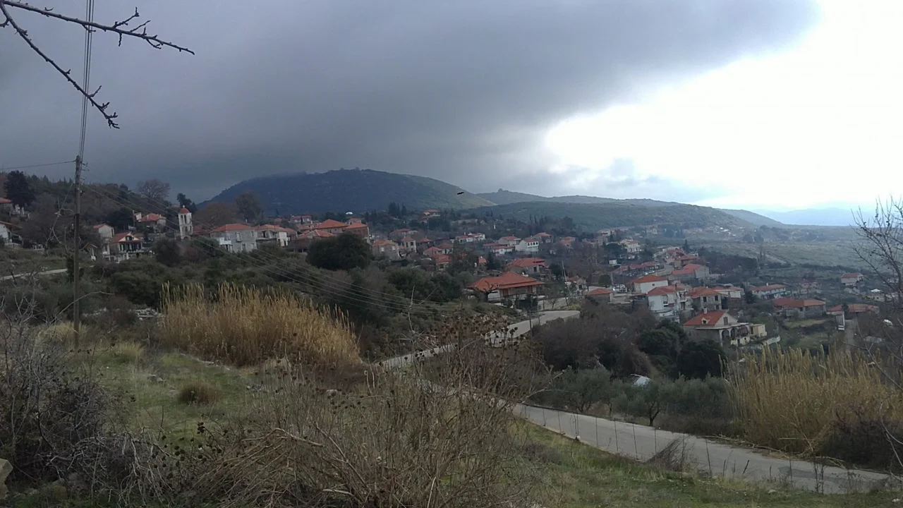 Πλατανιάς Τριχωνίδας