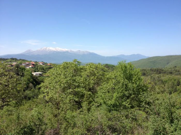 Σκαλωτή
