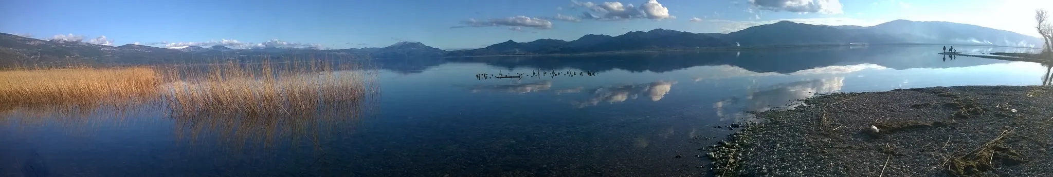 Πλάτανος Τριχωνίδας