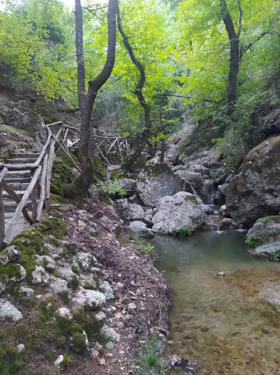 Επάνω Καλαμώνας Ρόδου